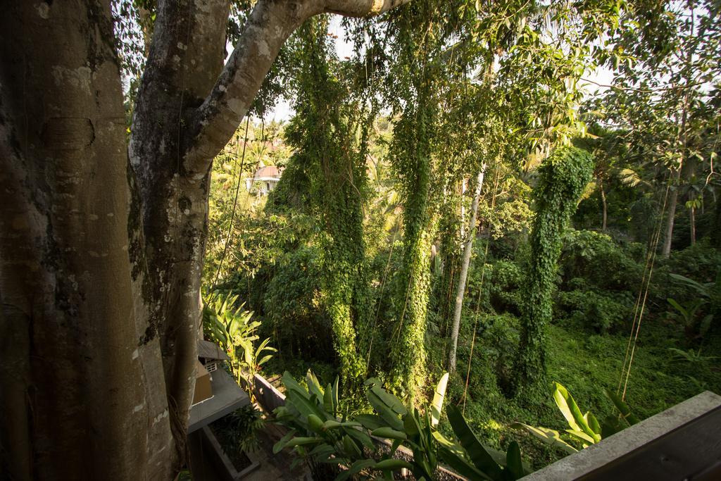 Labak River Hotel By Eps Ubud Exteriér fotografie